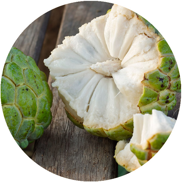 guanabana